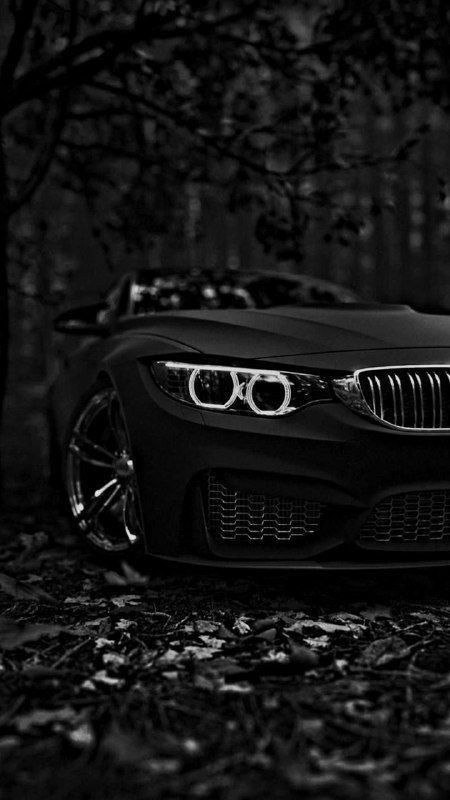 https://t.me/bmw_mpower_club