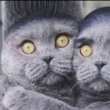 (Рест)AkiDO SOOT¹⁴³[💾]