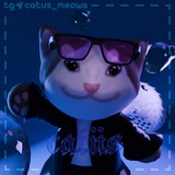Catus отзывы