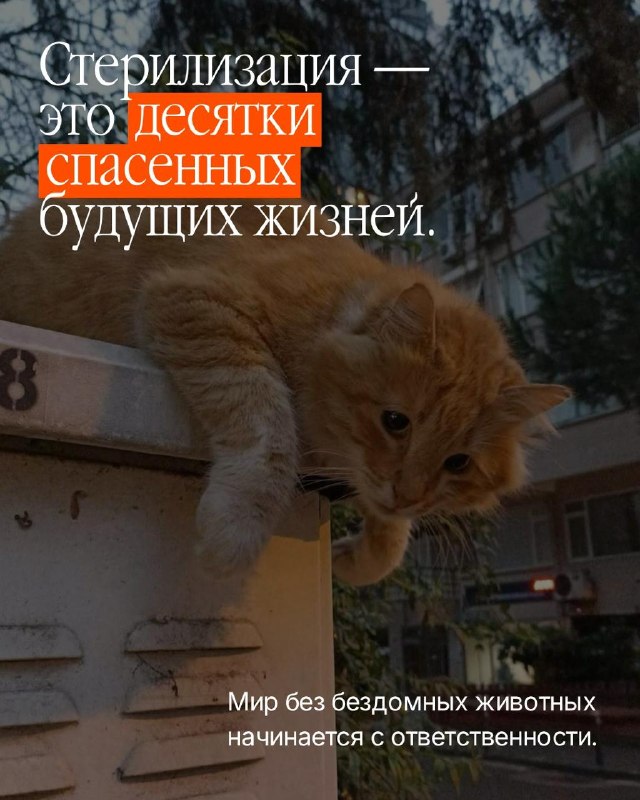 @help_animal41 posted a photo