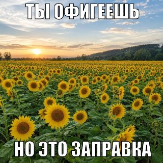 Климатический проект снижения углеродного следа морского транспорта представили на ВЭФ 2026.Уменьшать выброс неполезных газов планируют при помощи экологического топлива для судов из переработанного фритюрного масла и животных жиров. Рецептуру разработали 