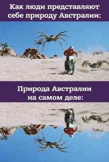 Тут составили топ-10 стран с наибольшим разнообразием видов змей: https://lentach.media/0ENA2Австралия не на первом месте. И даже не на втором. (Индия, кстати, тоже)