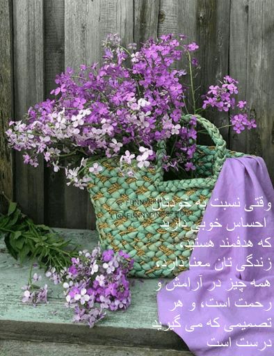 خدا: وقتی نسبت به خودتان احساس خوبی دارید که هدفمند هستید، زندگی تان معنا دارد، همه چیز در آرامش و رحمت است، و هر تصمیمی که م