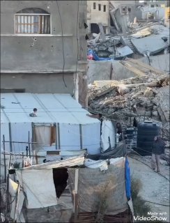 طفلة غزية تصعد سقف خيمة نزوح وسط المباني المدمرة