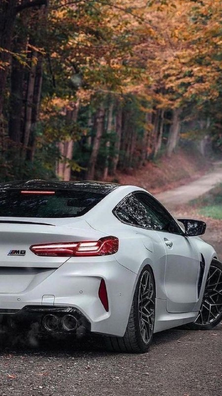 BMW M Powerhttps://t.me/bmw_mpower_club#bmw #mpower #bmwmpower #bmwworld #bmwmpo