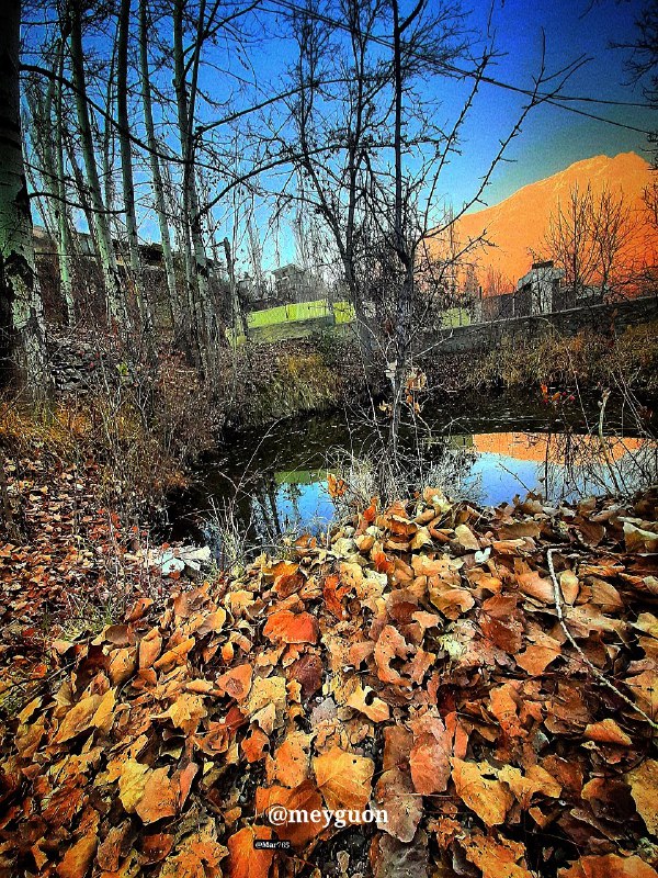 🌺میگون در گذر زمان🌺: .۱۸ روز ب پاییز🍂🍁🍂ولی می‌دونی چرا از این گرما جزغاله نمی‌شیم و این تابستون تنوری‌ام که شده سرِ پاییم و می‌خندیم؟چون به ر