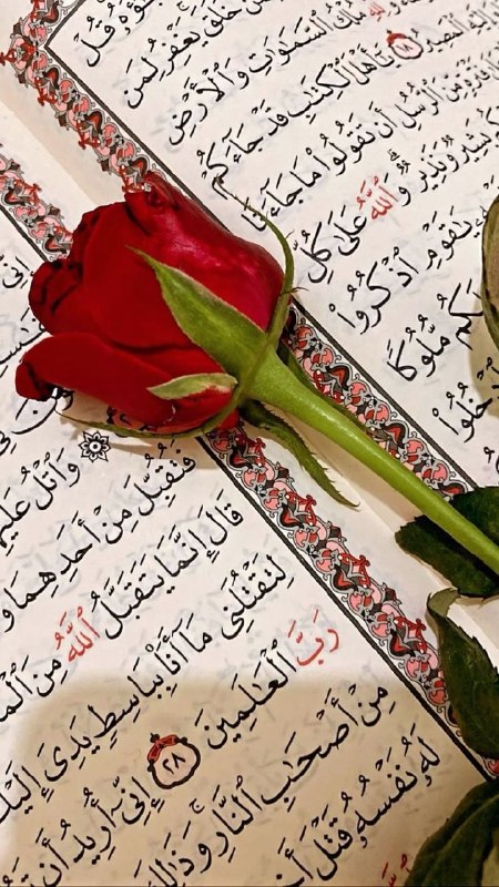 الباقيات الصالحات: رسانه پست