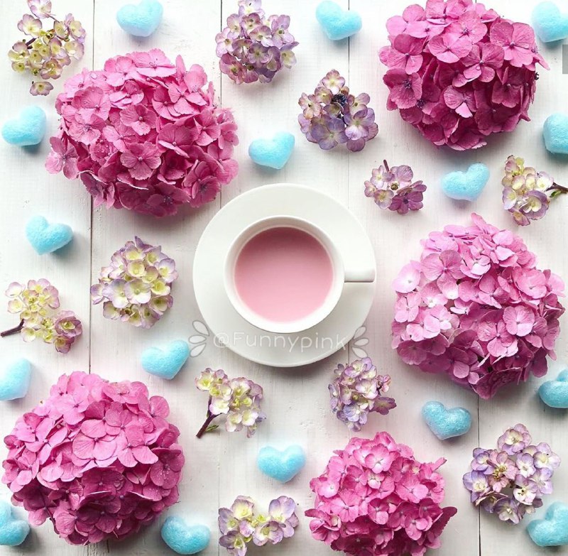 🧚‍♀کانال لایک وگیف🧚‍♀: 🌸جانم خیال شد 💖به خیال خیال دوست🌸دل بیقرار گشت 💖به عشق وصال دوست🌸هر کس به آرزوی جمالست در جهان💖مائیم و آرزوی خیال جمال د