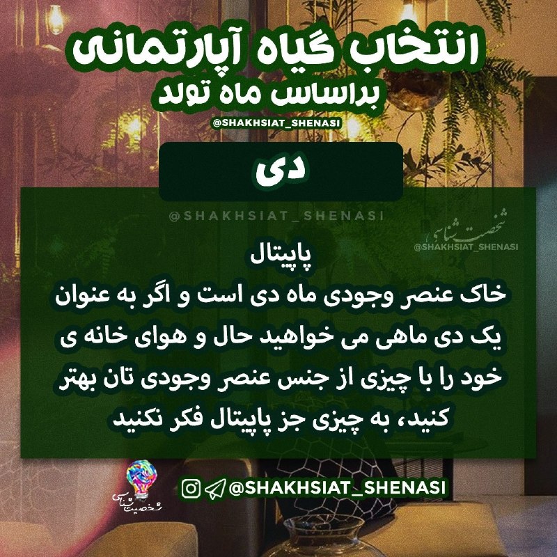 شخصیت شناسی: 💡گیاه آپارتمانی بر اساس ماه تولد 🪴🍀 #دی 🌿 💡شخصیت شناسی 👇https://t.me/joinchat/AsUKhDukJFl2EN4x19EZoA