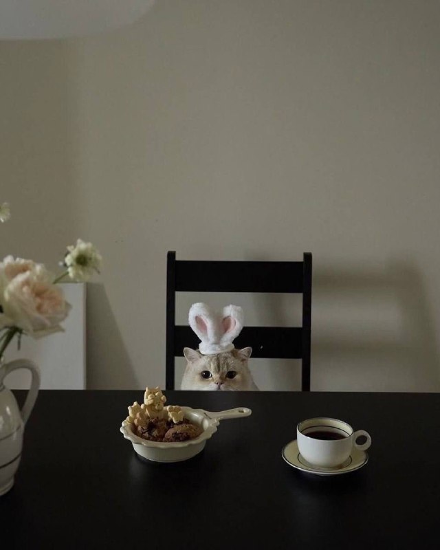 Очередная порция пушистых друзей в интерьере Please open Telegram to view this post VIEW IN TELEGRAM - изображение 3 - telegram, view, очередная