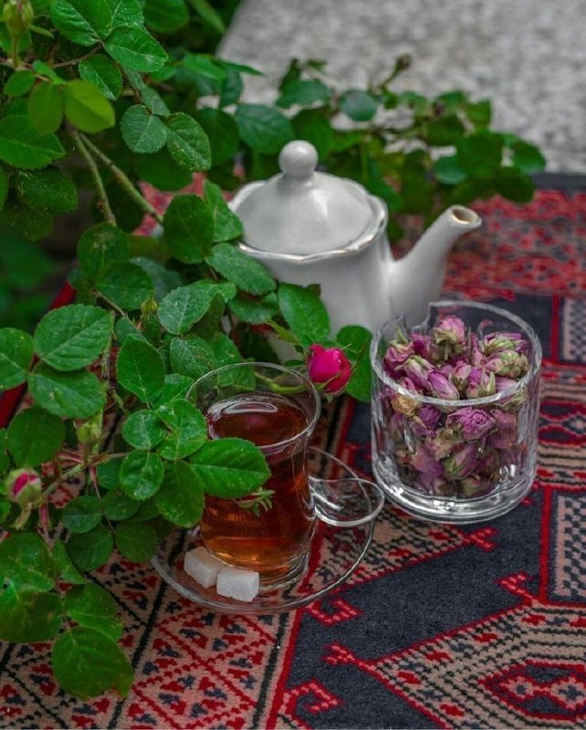 🌹👌سخنان ناب و پند آموز👌🌹: یکی از دلایل آرامش اینه که براتون مهم نباشه کهدیگران در مورد شما چه فکری میکنن.دیگران اگر فکر کردن بلد بودن، یه فکری به