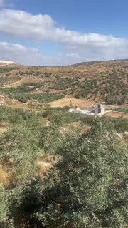רשת חדשות ירושלים