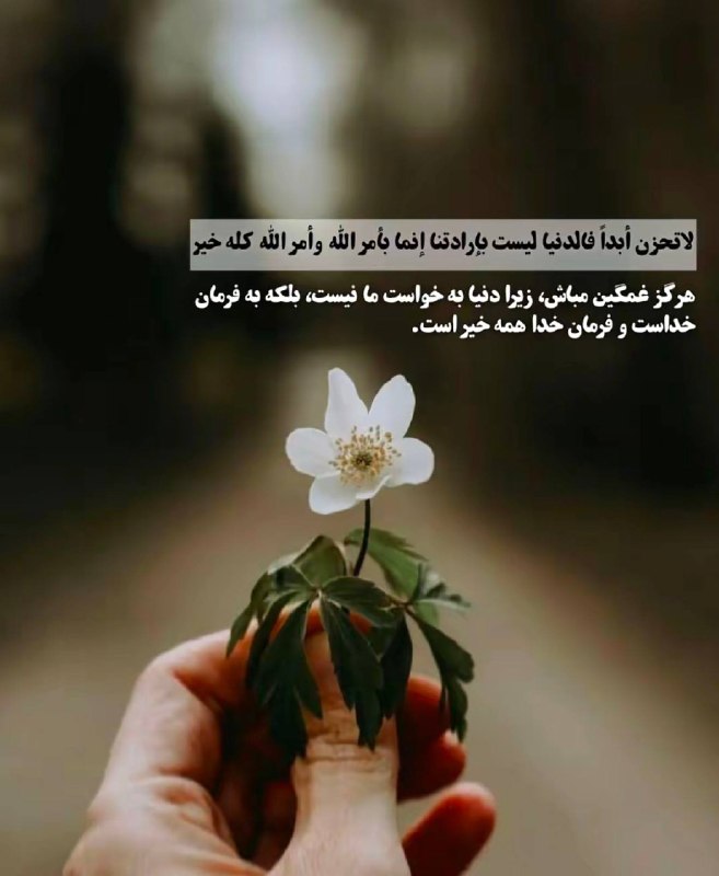 کلیپ و تصاویرهای قرآنی: #تصاوی_و_آیه_گرافیهای_قرآنیغمگین مباش عزیز خدا باماست ؛)─═इई💜🍃♥️🍃❤️ईइ═─https://t.me/cliephaieghoranie