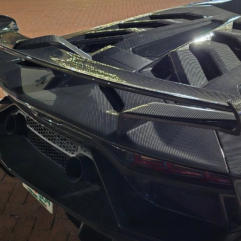 SVJ Full Carbon 6