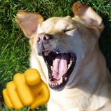 budka pupi