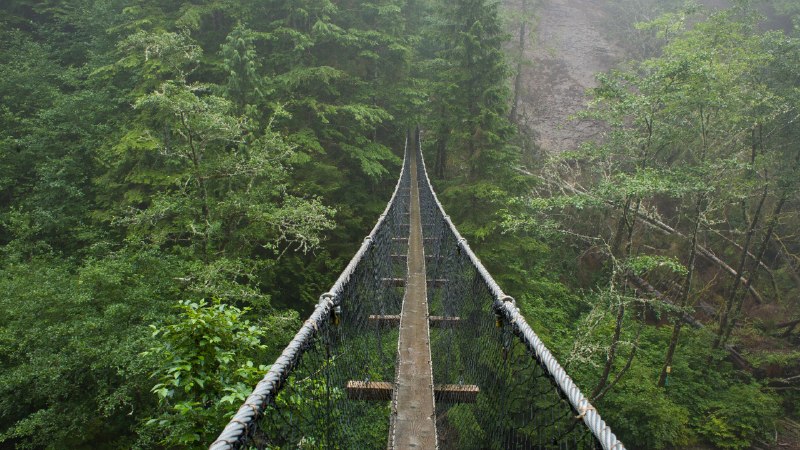 A step above the wildLogan Creek Suspension Bridge, West Coast Trail, Canada (© Tandem Stock/Adobe Stock)