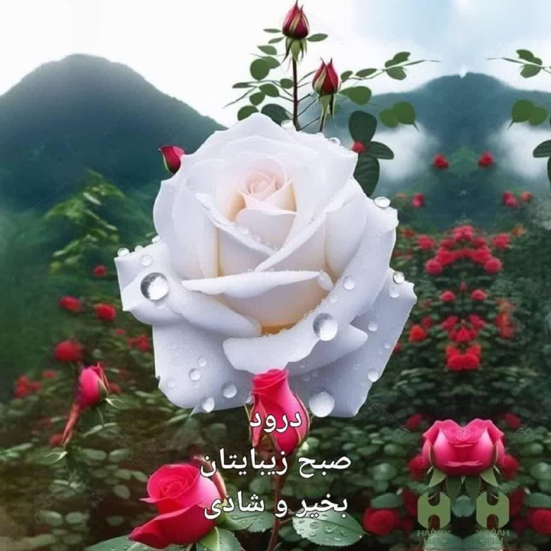 زواره نیوز: ☀️ امروز سه شنبه ۲۷ مرداد ۱۴۰۵🌙 ۵ ربیع الاول ۱۴۴۸🎄 ۱۸ اوت ۲۰۲۶🔸ذکر روز : یا ارحم الراحمین (۱۰۰مرتبه)💠️️
