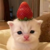 ₊˚⊹♡ 𝐬 𝐞 𝐫 𝐞 𝐧 𝐤 𝐚 𝐮 𝐰 𝐮