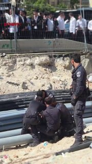 ענבר טויזר