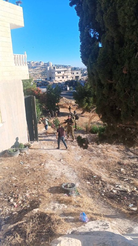 צה"ל פשט על ח'רבת א-דיר בתקוע לקראת הריסת בית
