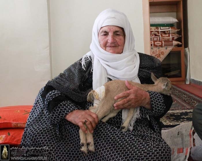 پایگاه خبری سلام پاوه: 💢 روسری سفیدِ مهربانی✍ فرهاد صالحی🔺 گاهی یک تصویر، سالها سکوت میکند؛ تا روزی در گوشهای از آرشیو دوباره دیده شود و خاط