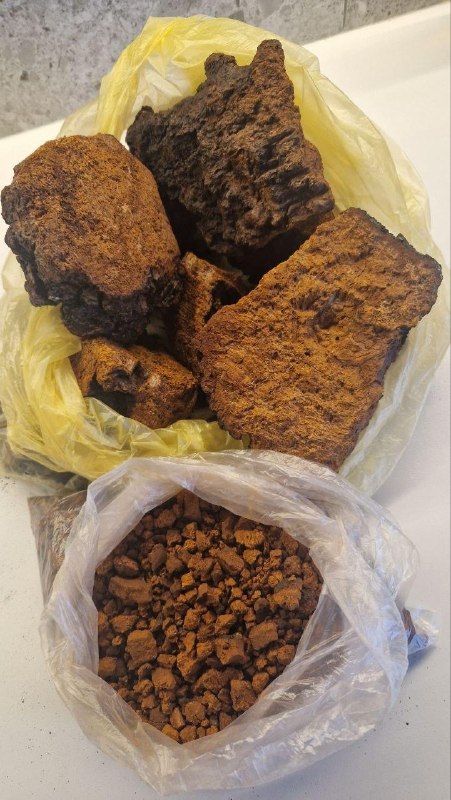 Продается в связи с отъездом Чага — фото 1