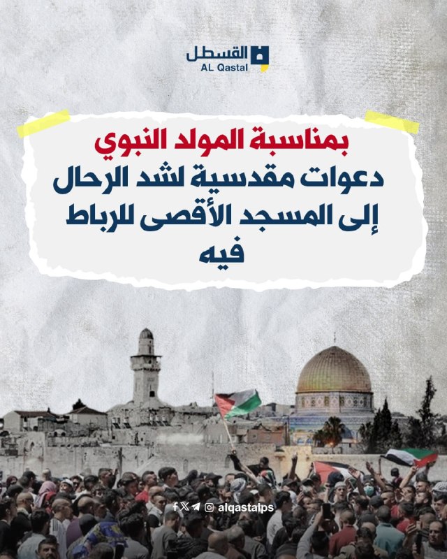 مقدسيون يدعون للتوافد على الأقصى بمناسبة المولد النبوي