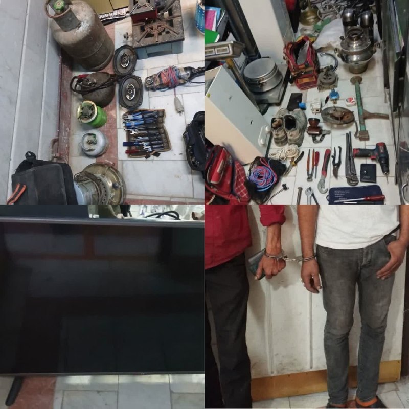 اخبار نیشابور: ⭕️ دستگيري متهم به سرقت وسایل منزل و باغ ویلا با ۲۲ فقره سرقت حسین احمدی، فرمانده انتظامی شهرستان نیشابور:🔸 با تلاش مامو