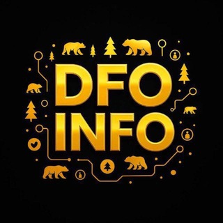 Telegram profile photo for DFO.INFO