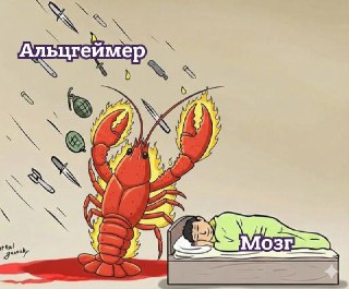 Paковые опухоли защищают мозг от болезни Альцгеймера, выяснили ученые: https://lentach.media/ODgJA