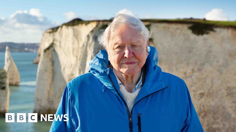 Sir David Attenborough Ocean film 'greatest message he's told'
