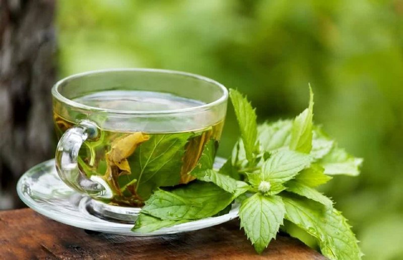 بهداشت جهانی: در روزهای گرم بجای نوشیدنی سرد، چای نعناع بخورید تا خنک شوید🍵🔹️مایعات سرد باعث تولید گرما در بدن میشه تا تعادل دما حفظ ب