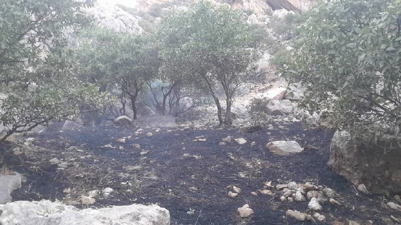 השריפה בגבהים הסוררים של גילנגרב חוסלה