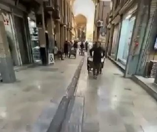 ספיר ליפקין