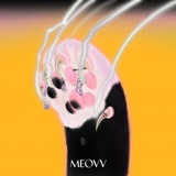 MEOVV GUIDE