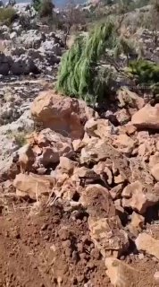 ️🇱🇧🇮🇱 צה"ל חיזק ושרף אדמות ביישוב כפר שובא, דרום לבנון.