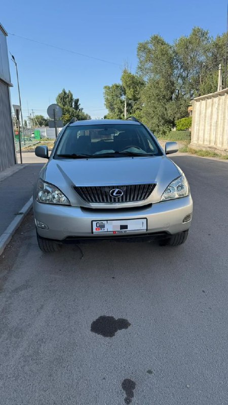 Lexus RX 330 2004