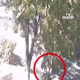 Детский садик из Орла попал на полмиллиона рублей штрафа за то, что воспитанник сбежал перед тихим часом и попал под колёса грузовика. Администрация пыталась скинуть вину на родителей, но суд встал на их сторону.Инцидент произошёл в детсаду № 31: 6-летний 