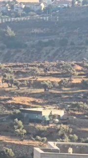 מתנחלים השתוללו באדמות פלסטיניות בפאתי בורקה, מזרחית לרמאללה