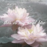 𝘔𝘦𝘳𝘤𝘪'𝘴 𝘪𝘯𝘧𝘰 ♡