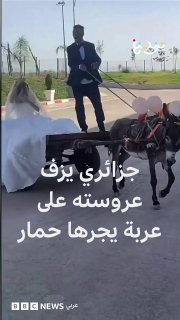 אלג'יראי עורך חתונה על עגלת חמורים באוראן