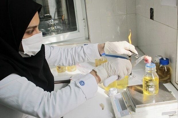 پایگاه خبری مفدا رفسنجان: 📢 داشتن ۲ مقاله، شرط شرکت در آزمون دکتری پژوهشی علوم پزشکی🟢برای داوطلبان دوره دکتری پژوهشی دانشگاههای علوم پزشکی داشتن