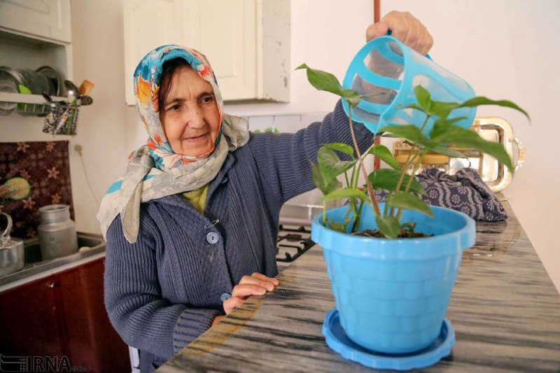 קשישים וקיץ; בילוי בריא, קל ותימני