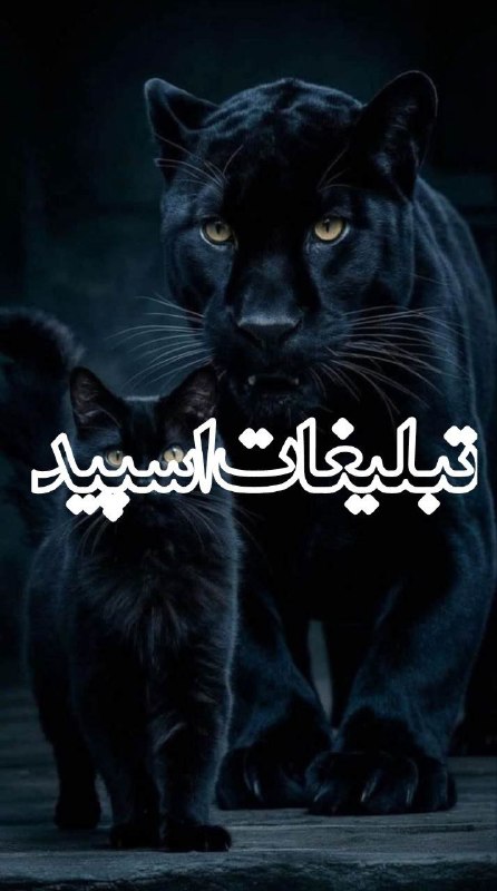 گروه دوستیابی دخترونه کرمانشاه: ❶﹚ نام : آتشکده لاکچری 🔥❷﹚ نو؏ تبلیغات : #telegram❸﹚ توضیحات :🌙 ᴡɪs²⁴ᴄᴀʟʟ 🎧🎵 ᴍᴜᴢɪᴋ، شِعر، دِکلمه، خوندن و حالِ خوب 🎙🎮 با