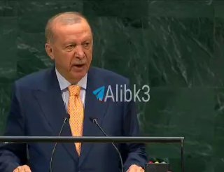 Turkish President Erdogan: