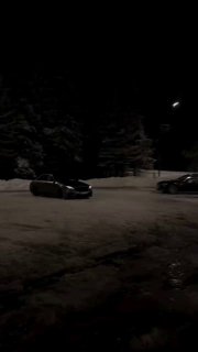 W213