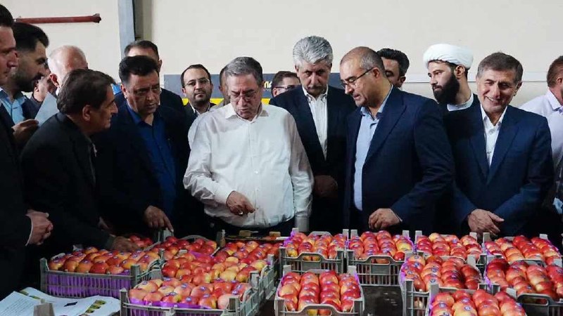 اخبار آذربایجان غربی: سردخانه ۲ هزار تنی مهاباد به بهرهبرداری رسید🔹️واحد سردخانه ۲ هزارتنی و خط سورتینگ و بستهبندی میوه با ظرفیت ۲ هزار و ۲۰