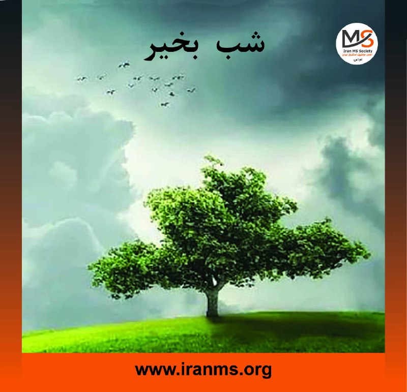 انجمن ام‌اس ایران: @iranmSociety https://instagram.com/iranmss https://www.instagram.com/msgiftiran?igsh=cmplYTJib3Zhb3hvhttps://t.me/MSgif
