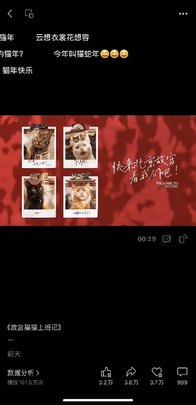 捷报！《故宫猫猫上班记》发布3天，视频号播放量就破100万啦～！小红书破了1万赞，抖音也破了7K赞～！北京日报和北京发布也进行了转载刊登！还上了北京同城热搜！刷新好多成就，谢谢大家的喜欢