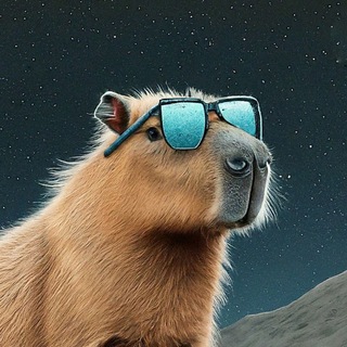 LumiChill - $CHILL to $1B Telegram Group Link